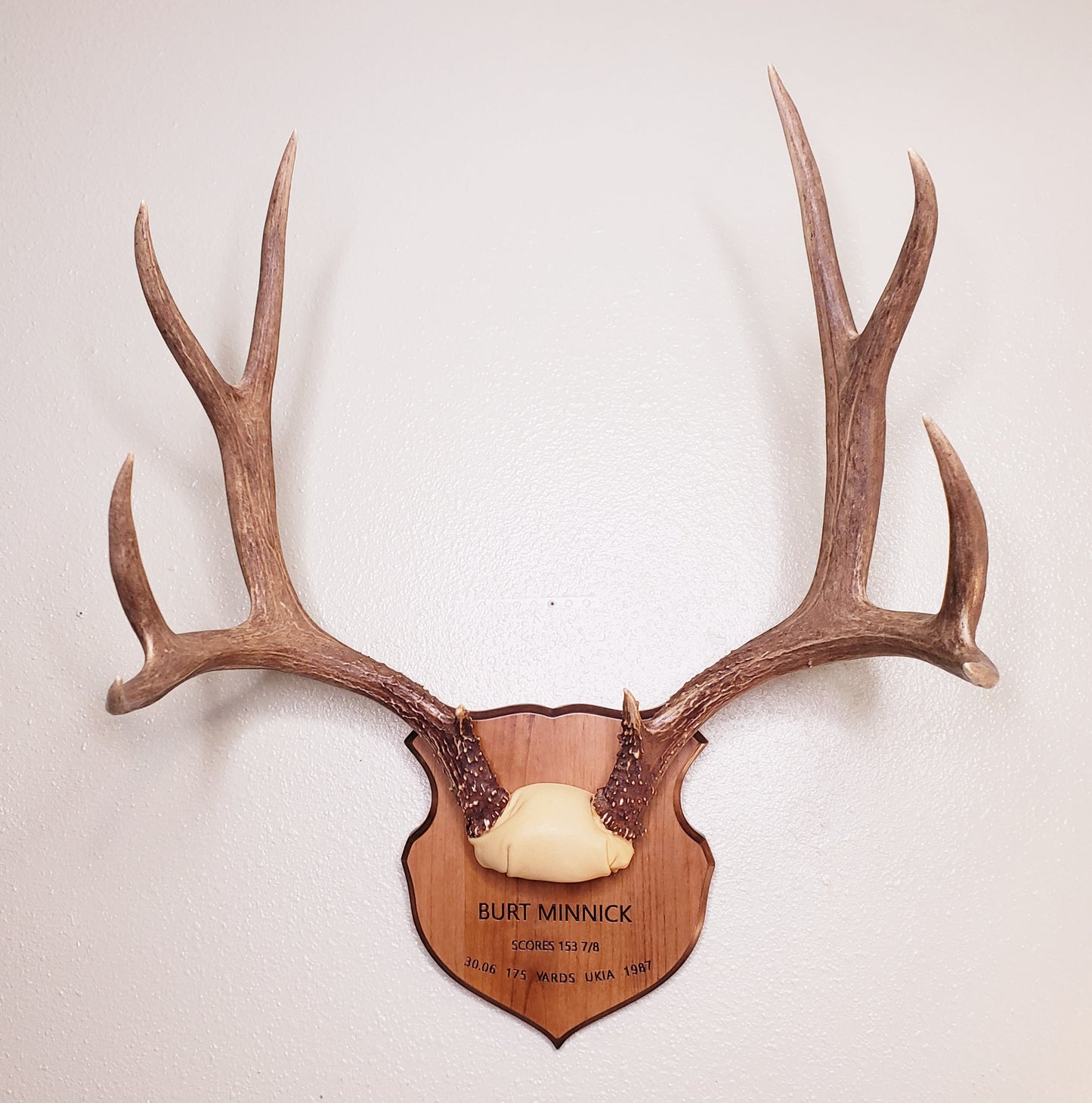 Antler Mount