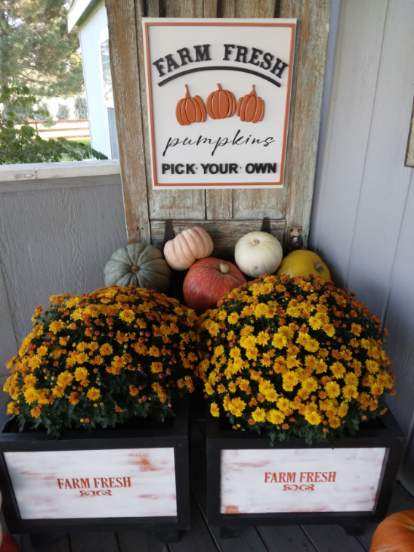 Fall Farm Fresh Pumpkin Sign