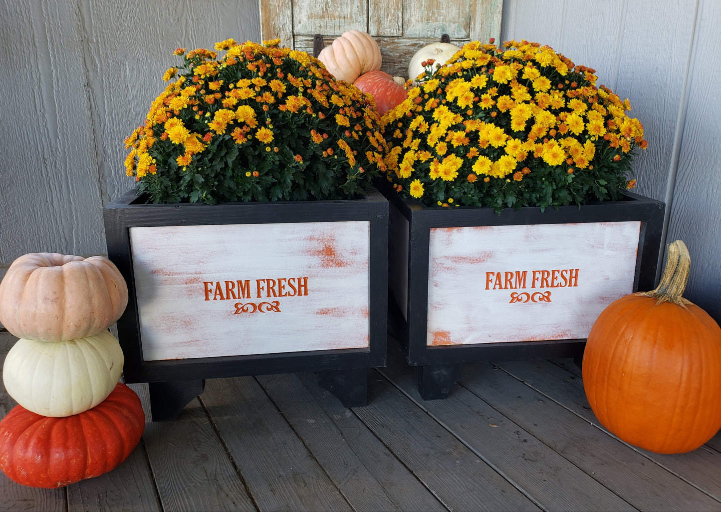 Fall Planters