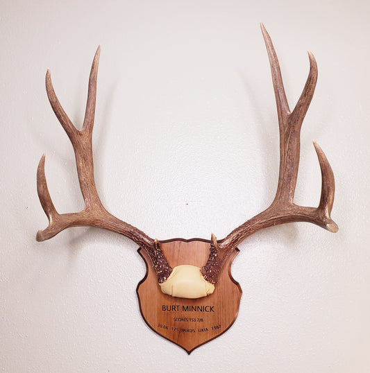 Antler Mount